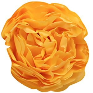 Clairefontaine Papier de soie, (l)500 x (H)750 mm, jaune or