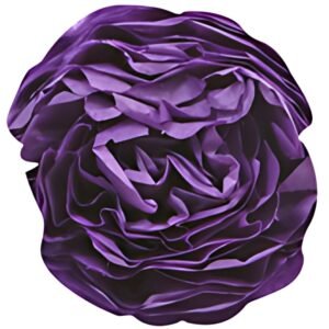 Clairefontaine Papier de soie, (l)500 x (H)750 mm, violet
