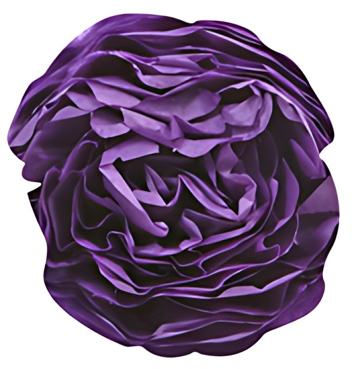 Clairefontaine Papier de soie, (l)500 x (H)750 mm, violet