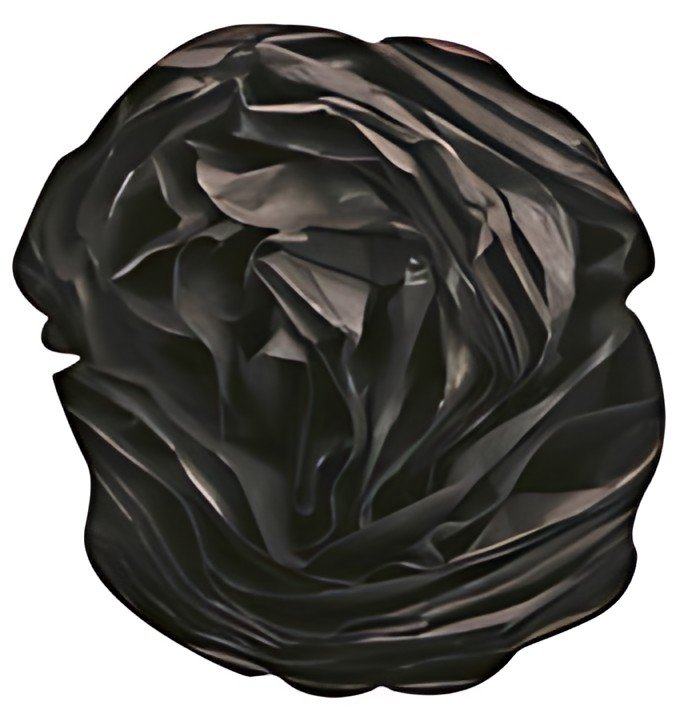 Clairefontaine Papier de soie, (l)500 x (H)750 mm, noir