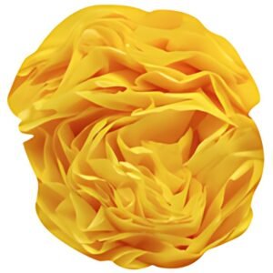 Clairefontaine Papier de soie, (l)500 x (H)750 mm, jaune