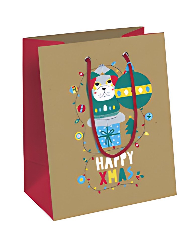 Clairefontaine Sac cadeau de Noël "Make a Wish", mini