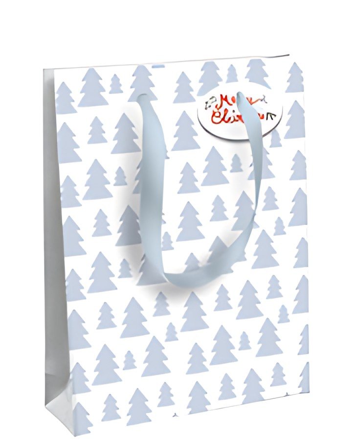 Clairefontaine Sac cadeau de Noël "Empreintes", moyen