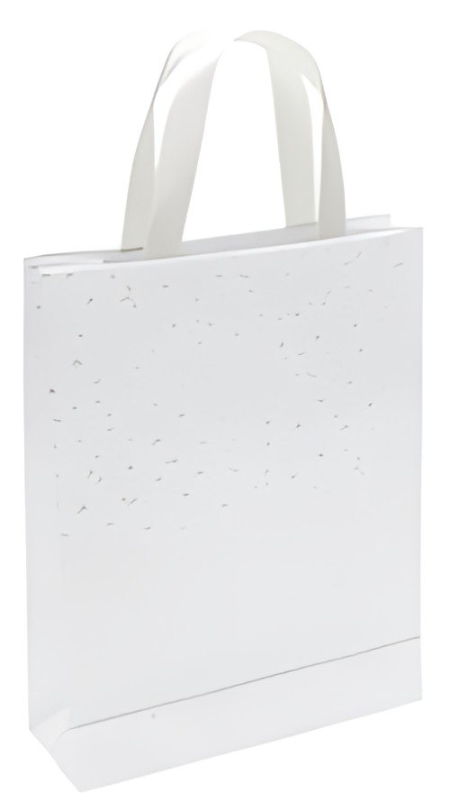 Clairefontaine Sac cadeau "Premium blanc", petit
