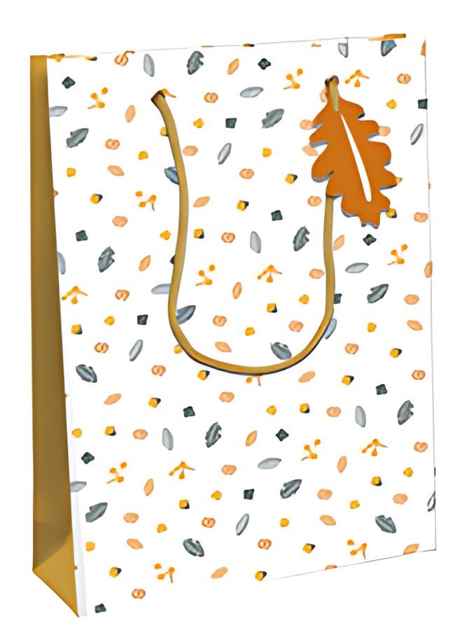 Clairefontaine Sac cadeau de Noël "Fox", large