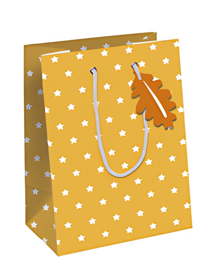 Clairefontaine Sac cadeau de Noël "Fox", moyen