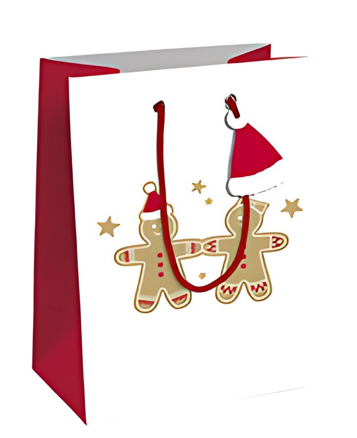 Clairefontaine Sac cadeau de Noël "Pain d'épices", moyen