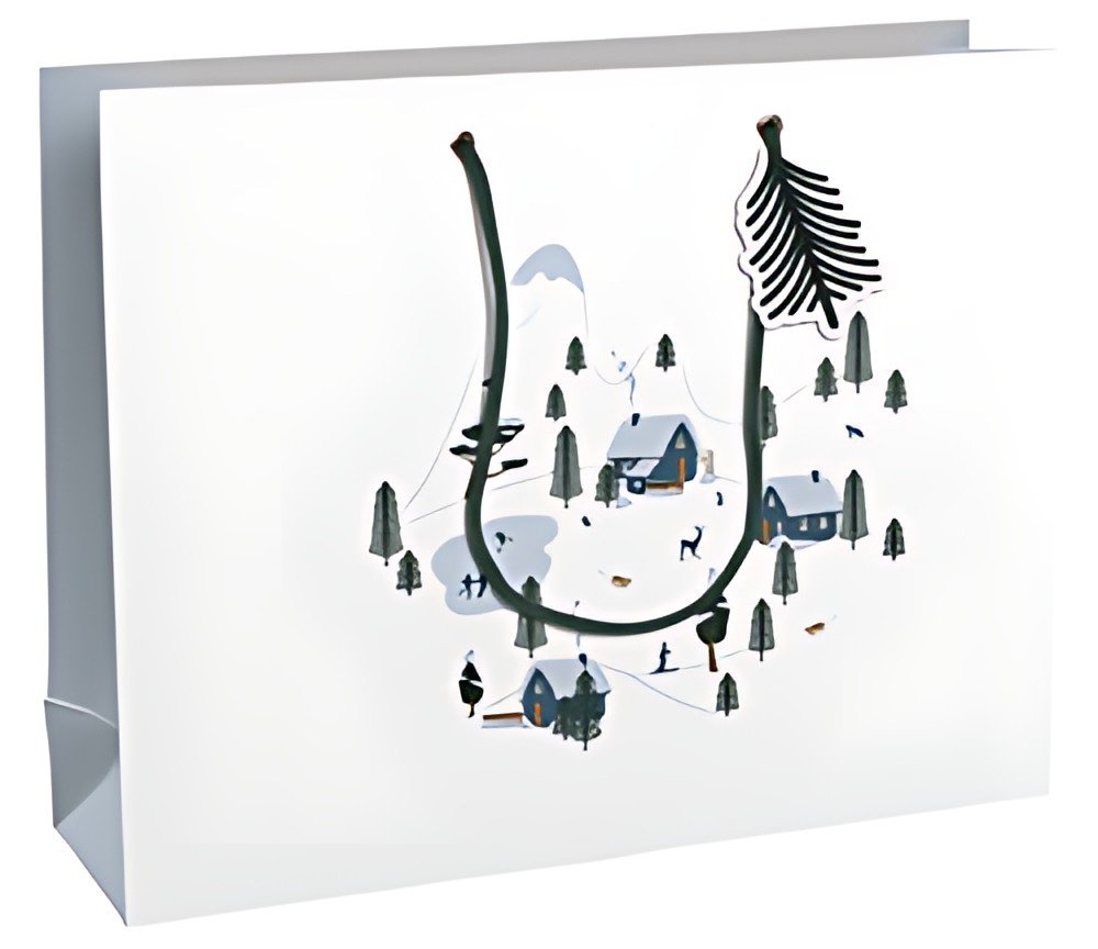 Clairefontaine Sac cadeau de Noël "Winter", shopping