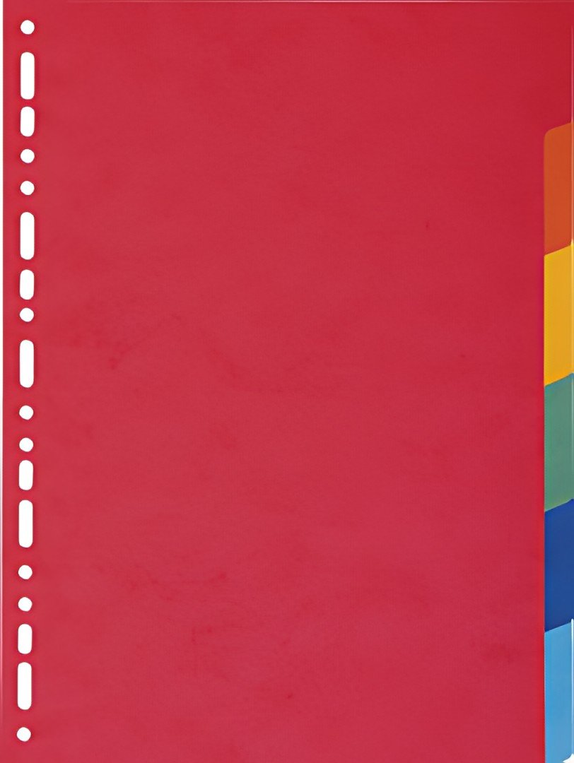 EXACOMPTA Intercalaires en carton, A4 Maxi, 6 touches