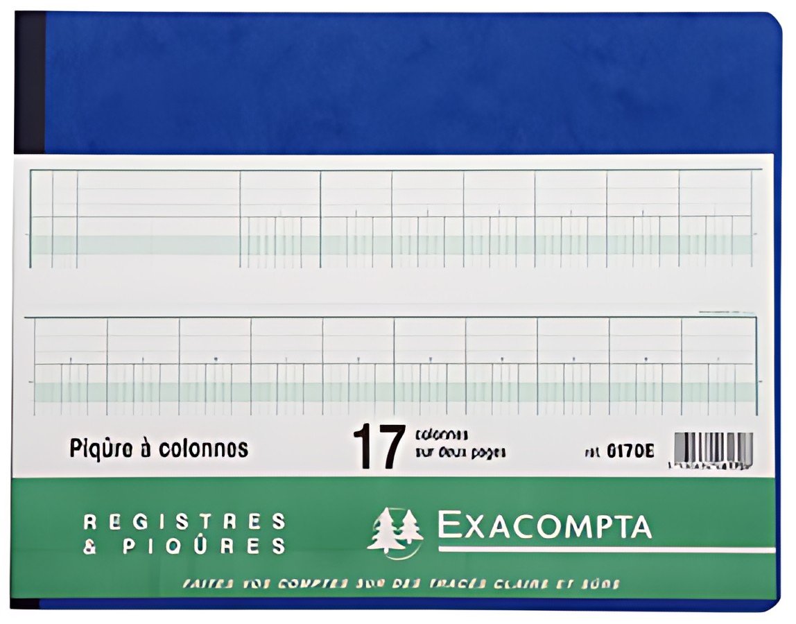 EXACOMPTA Piqûre à colonnes, 13 colonnes, 31 lignes