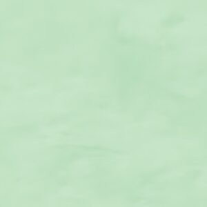 Clairefontaine Papier cadeau "kraft", vert bourgeon