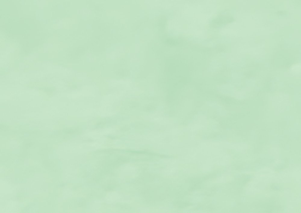 Clairefontaine Papier cadeau "kraft", vert bourgeon