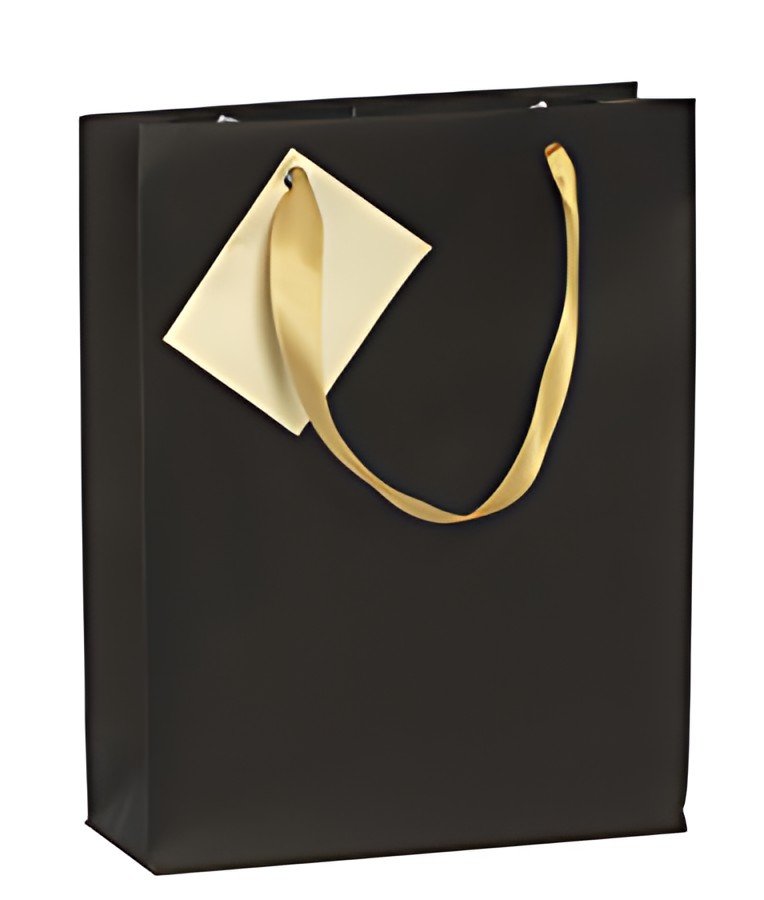 Clairefontaine Sac cadeau de Noël "Émeraude", moyen