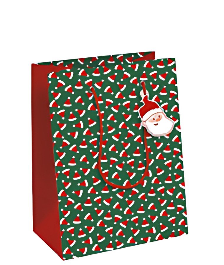 Clairefontaine Sac cadeau de Noël "Petit Papa Noël", moyen