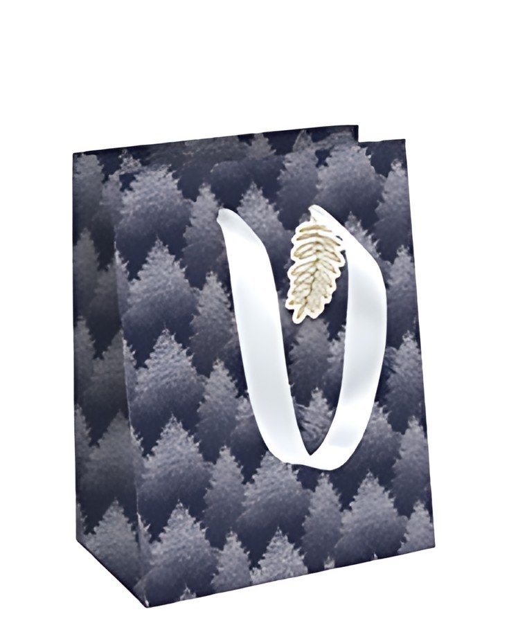 Clairefontaine Sac cadeau de Noël "Precious", moyen