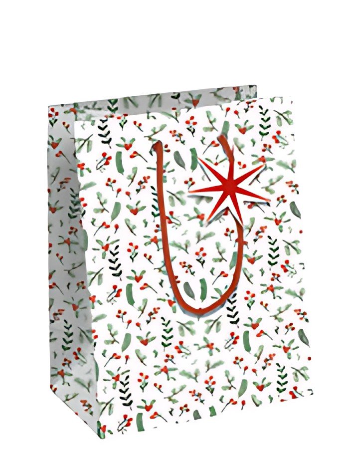 Clairefontaine Sac cadeau de Noël "Cosy", moyen