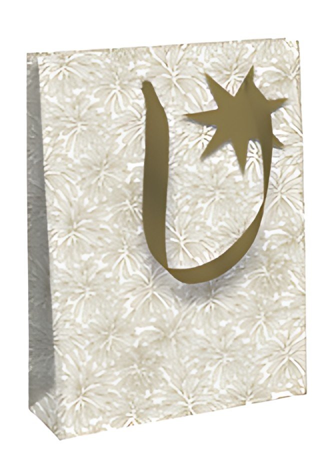 Clairefontaine Sac cadeau de Noël "Noël des Sables", large