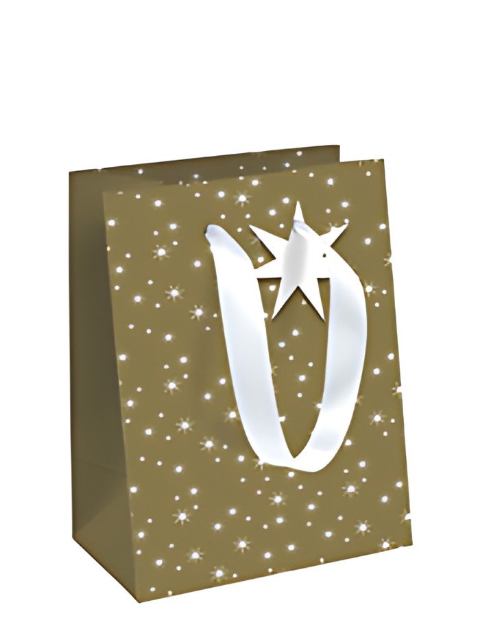 Clairefontaine Sac cadeau de Noël "Noël des Sables", moyen