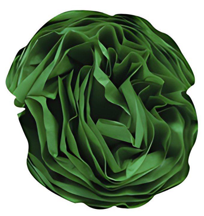 Clairefontaine Papier de soie, (l)500 x (H)750 mm, vert pré
