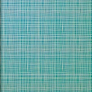 Clairefontaine Papier cadeau "Tiny Rolls lignes vertes"