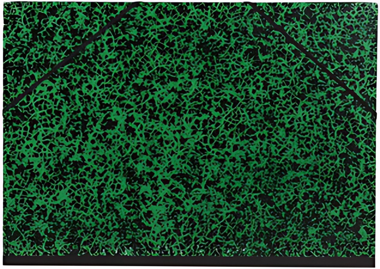 Clairefontaine Carton à dessin Annonay, 520 x 720 mm