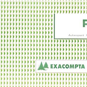 EXACOMPTA Manifold "Reçus", 105 x 180 mm, dupli