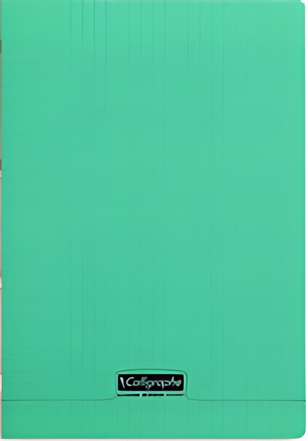 Calligraphe Cahier 8000 POLYPRO, 210 x 297 mm, vert