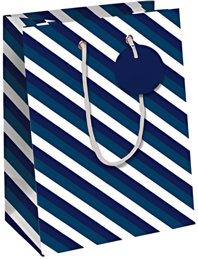 Clairefontaine Sac cadeau "Blue Line", moyen