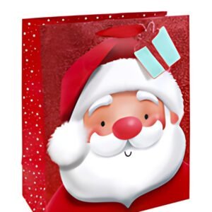 Clairefontaine Sac cadeau de Noël "Père Noël"