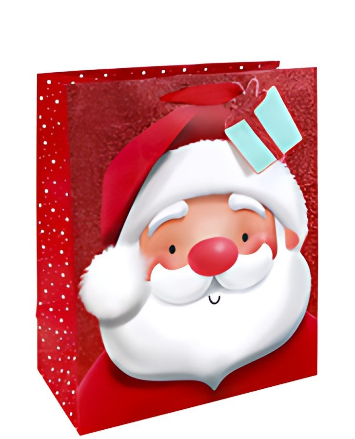 Clairefontaine Sac cadeau de Noël "Père Noël"