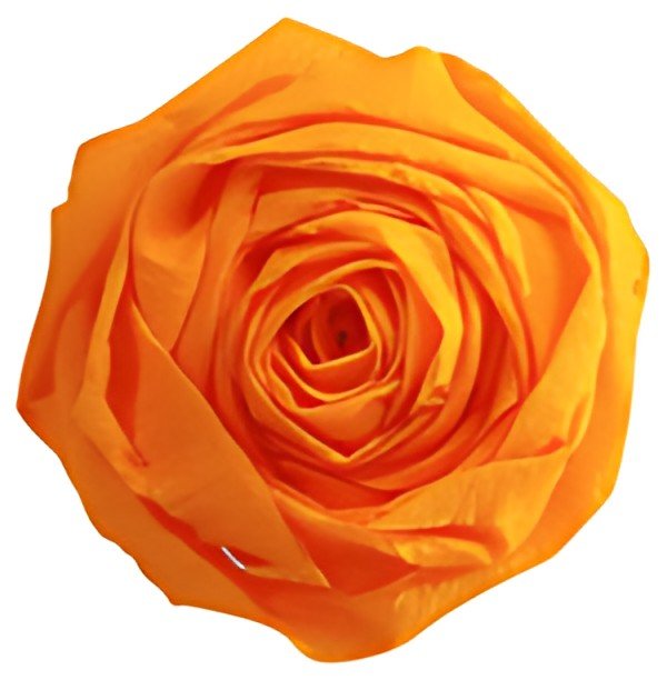 Clairefontaine Papier crépon, (l)500 mm x (L)2 m, jaune or