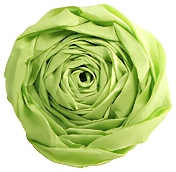 Clairefontaine Papier crépon, (l)500 mm x (L)2 m, vert pomme