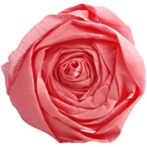 Clairefontaine Papier crépon, (l)500 mm x (L)2 m, rose moyen