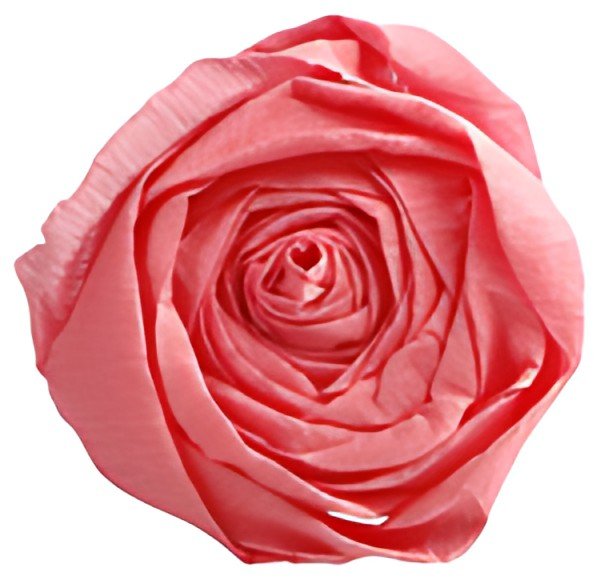 Clairefontaine Papier crépon, (l)500 mm x (L)2 m, rose moyen