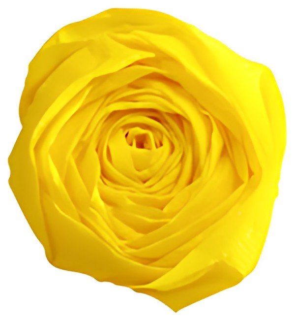 Clairefontaine Papier crépon, (l)500 mm x (L)2 m, jaune