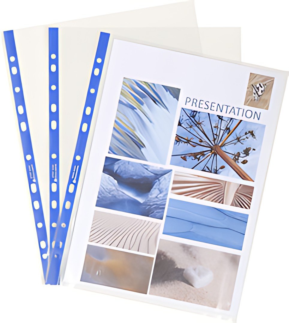 EXACOMPTA Pochette perforée Stop Doc, A4, PP, transparent