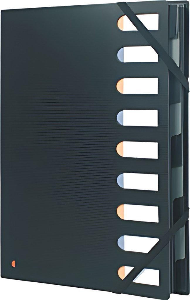 EXACOMPTA Trieur EXACTIVE, PP, 9 compartiments, noir