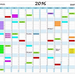 EXACOMPTA Planning annuel Exaplanner, (L)900 x (H)590 mm