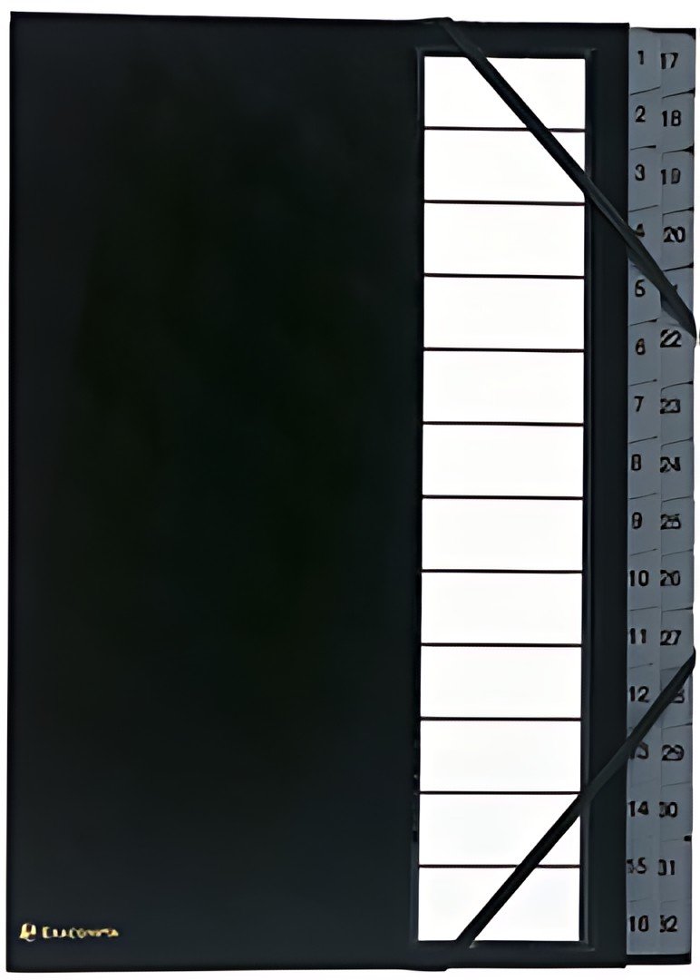 EXACOMPTA Trieur Ordonator, 1-32, A4, 32 compartiments, noir