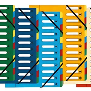 EXACOMPTA Trieur Harmonika, A4, 12 compartiments, vert