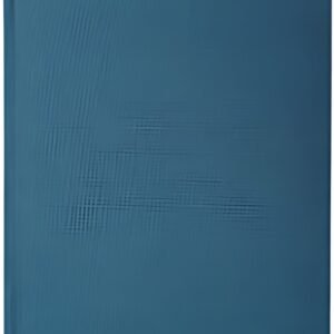 EXACOMPTA Registre "Enregistrement du courrier", 200 pages