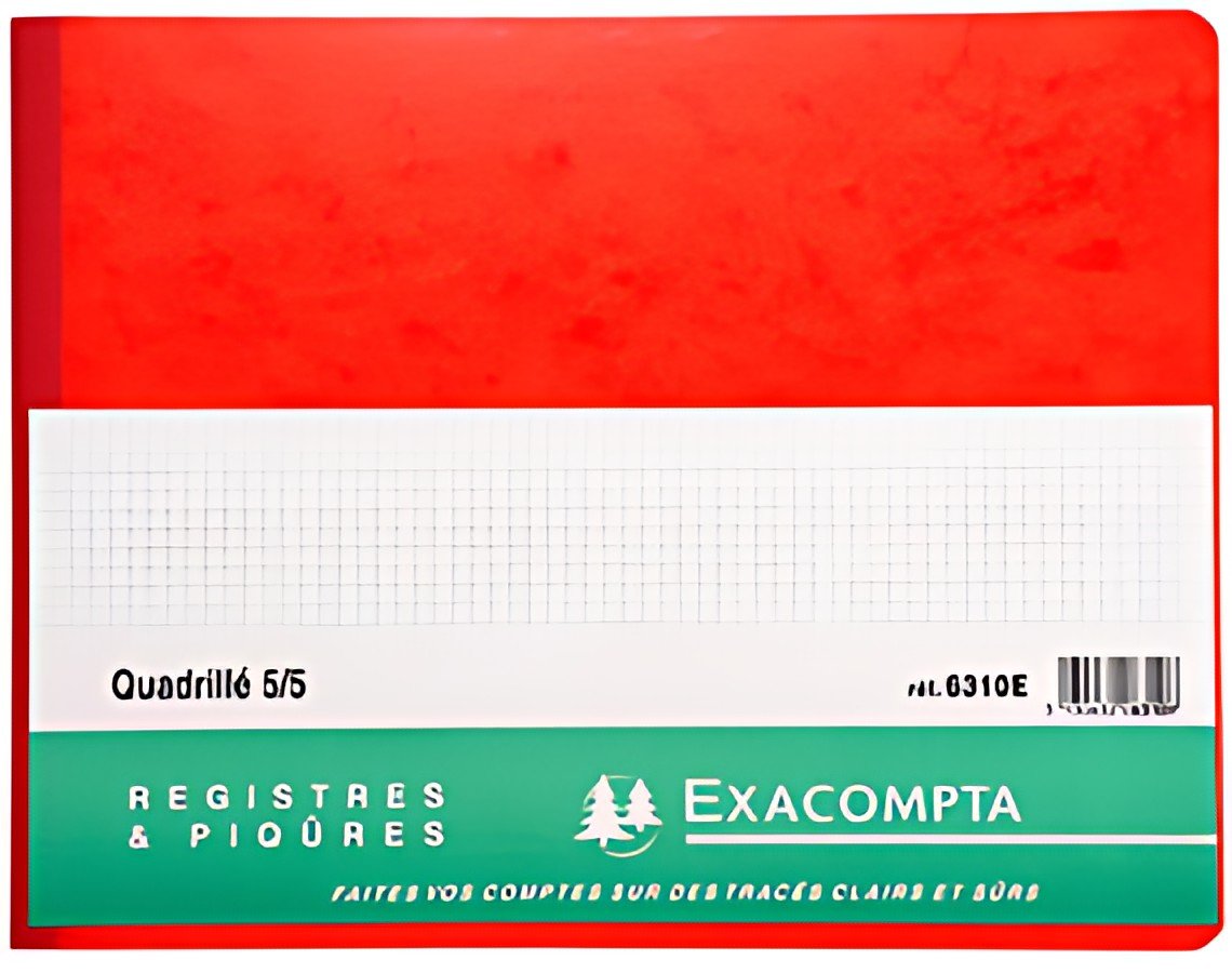 EXACOMPTA Piqûre Quadrillé 5x5, 250 x 320 mm horizontal