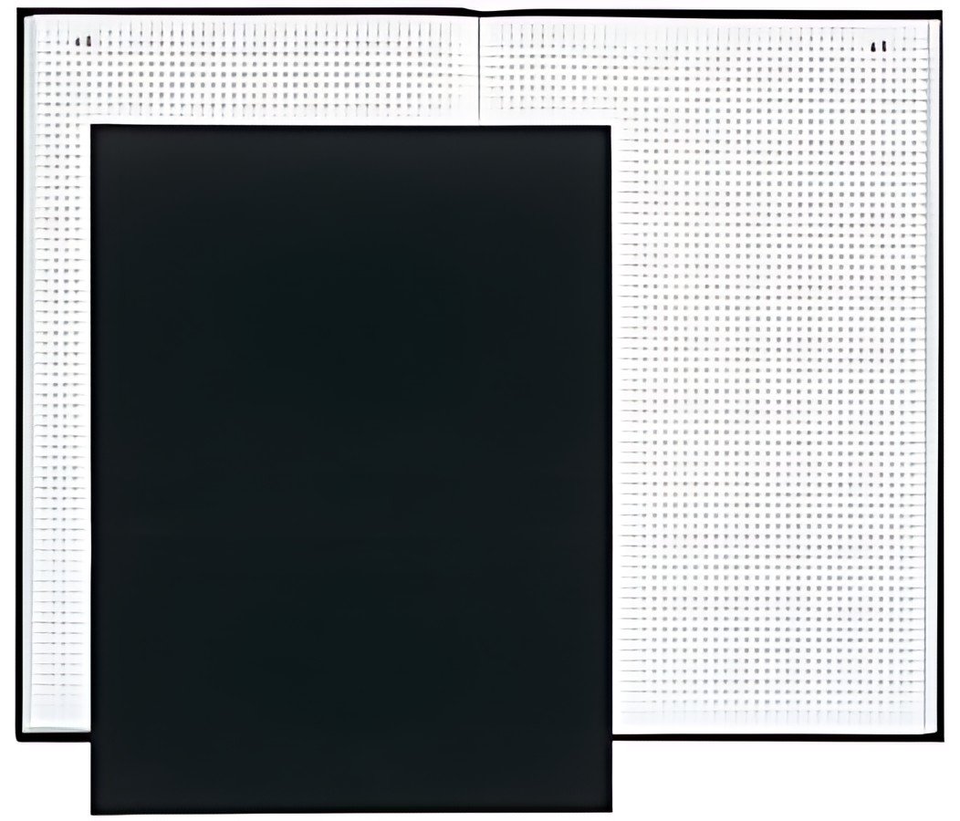 EXACOMPTA Registre quadrillé 5/5 folioté, 350 x 225 mm