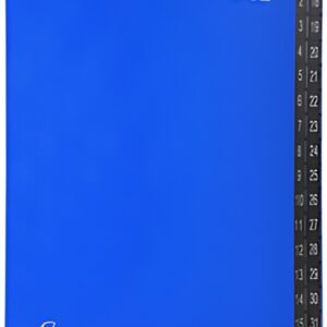 EXACOMPTA Trieur numérique, A4, 1-31, 32 compartiments, bleu