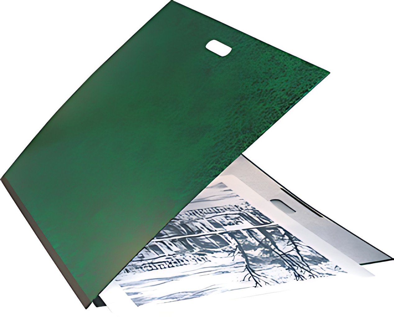 EXACOMPTA Carton à dessin, 590 x 720 mm, carton, vert / noir