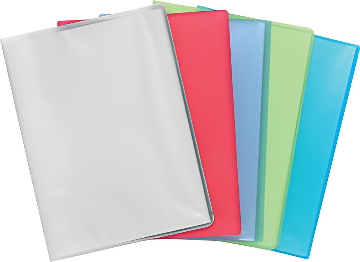 EXACOMPTA Protège-documents Chromaline, PP, A4, 50 pochettes