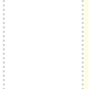 EXACOMPTA Papier listing en continu, 30,48 cm (12") x 240 mm