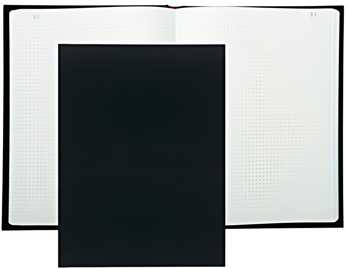 EXACOMPTA Registre Quadrillé 5x5, 360 x 225 mm vertical