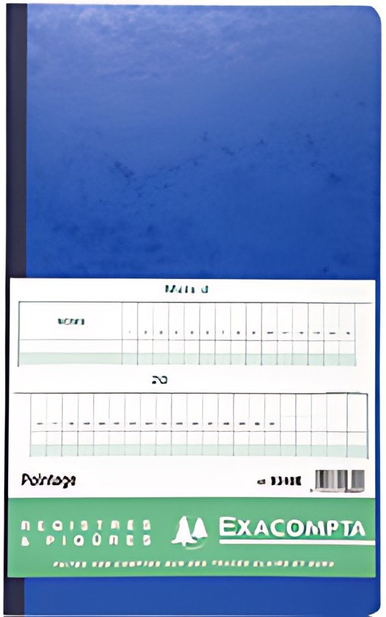 EXACOMPTA Piqûre "Pointage", 400 x 240 mm