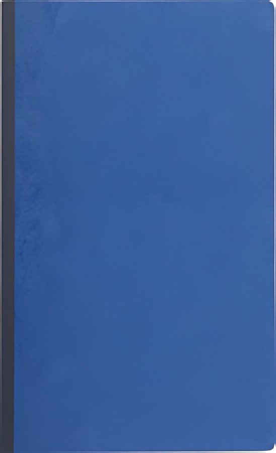 EXACOMPTA Piqûre "Journal folioté, 297 x 210 mm, 32 lignes